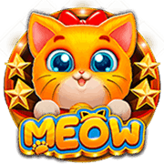 Meo meo một lần nữa icon